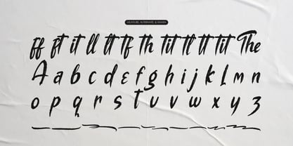 The Mollina Font Poster 12