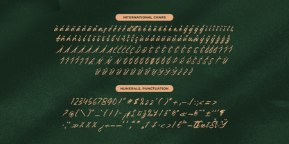 Pluretta Vintage Font Poster 15