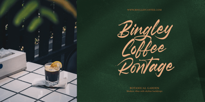 Pluretta Vintage Font Poster 9