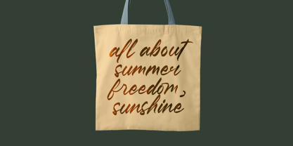 Pluretta Vintage Font Poster 2