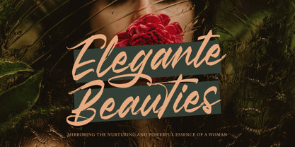 Pluretta Vintage Font Poster 8