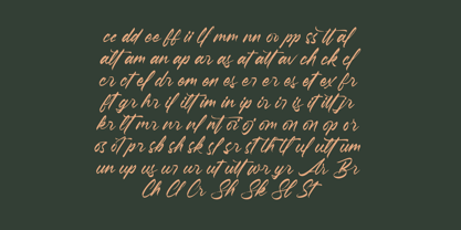 Pluretta Vintage Font Poster 14