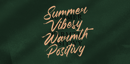 Pluretta Vintage Font Poster 7