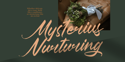 Pluretta Vintage Font Poster 6