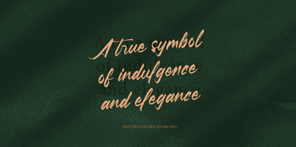 Pluretta Vintage Font Poster 3