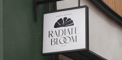 Amira Monte Font Poster 10