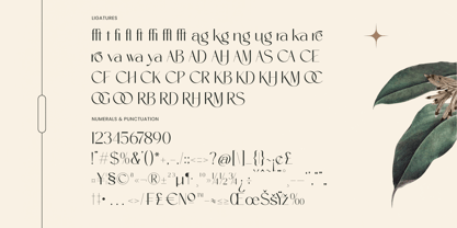 Amira Monte Font Poster 14