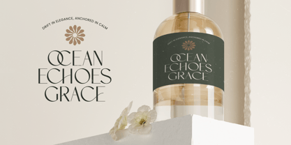 Amira Monte Font Poster 12