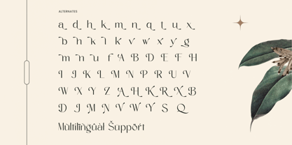 Amira Monte Font Poster 15