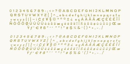 Ranch Water Font Poster 3