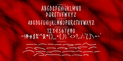 Wonderova Brush Font Poster 10