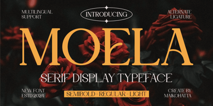 Moela Font Poster 1