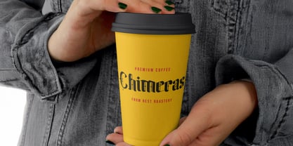 Biqabygoku Font Poster 4