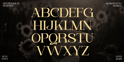 Faceri Font Poster 8