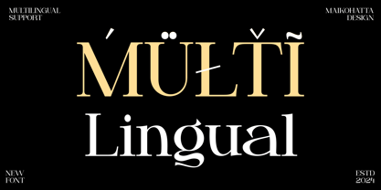 Faceri Font Poster 6