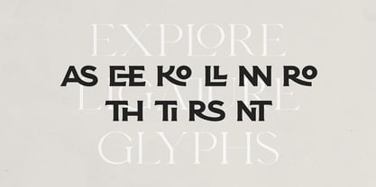 Esquie Font Poster 13