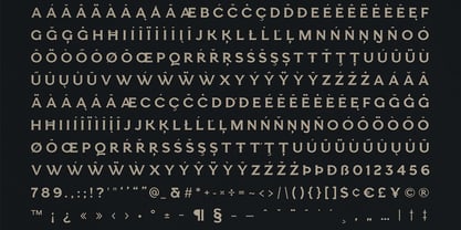 Esquie Font Poster 14