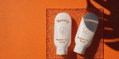 Beach Breaker Font Poster 6