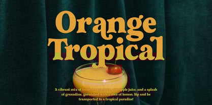 Beach Breaker Font Poster 4