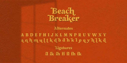 Beach Breaker Font Poster 15