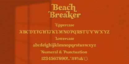 Beach Breaker Font Poster 14
