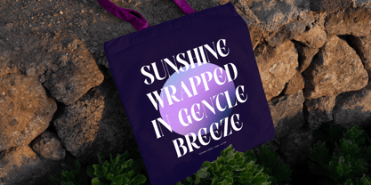 Evolugi Font Poster 2