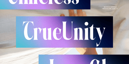 Evolugi Font Poster 5