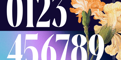 Evolugi Font Poster 10