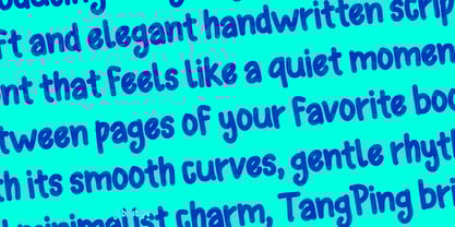 Tang Ping Font Poster 2