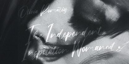 Origa Script Font Poster 5