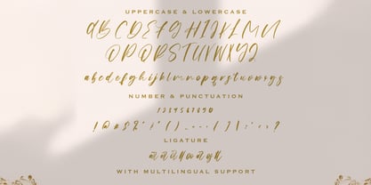 Origa Script Font Poster 7