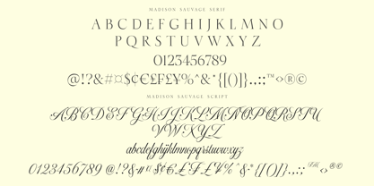 Madison Sauvage Font Poster 8