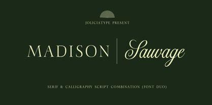 Madison Sauvage Font Poster 1