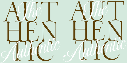Madison Sauvage Font Poster 11