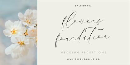 Charttisle Wadfield Font Poster 2