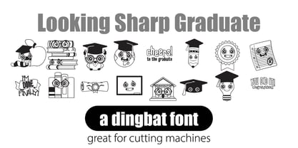 Looking Font Poster 8