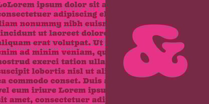 Bagatelle Font Poster 8