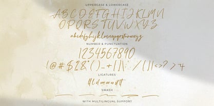 Fany Smash Font Poster 7