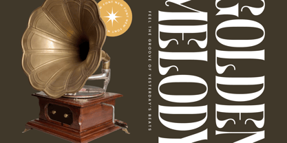 Biblonk Matter Font Poster 3