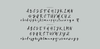 Recintas Brush Font Poster 9