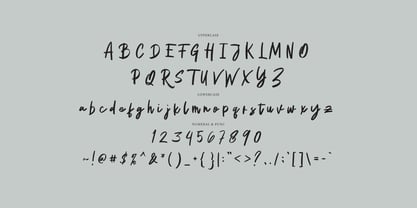Recintas Brush Font Poster 8
