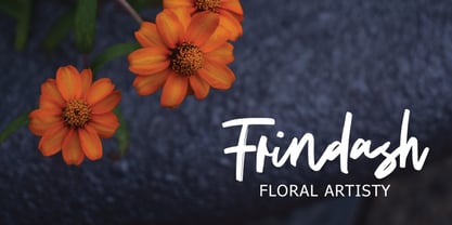 Recintas Brush Font Poster 5