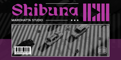 Tushin Sunn Font Poster 7