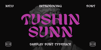 Tushin Sunn Font Poster 1