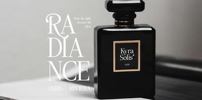 Roman Noirs Font Poster 6