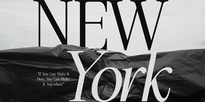 Roman Noirs Font Poster 3