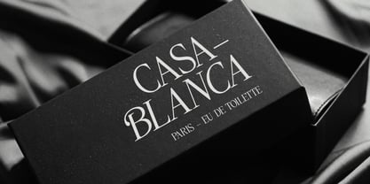 Roman Noirs Font Poster 10