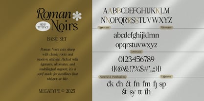 Roman Noirs Font Poster 8