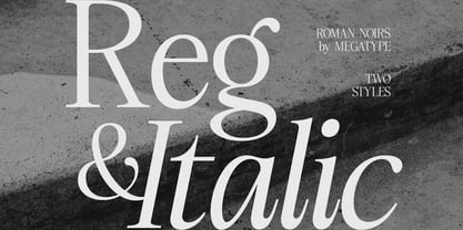Roman Noirs Font Poster 9