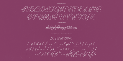 Anastasia Boutiques Font Poster 7